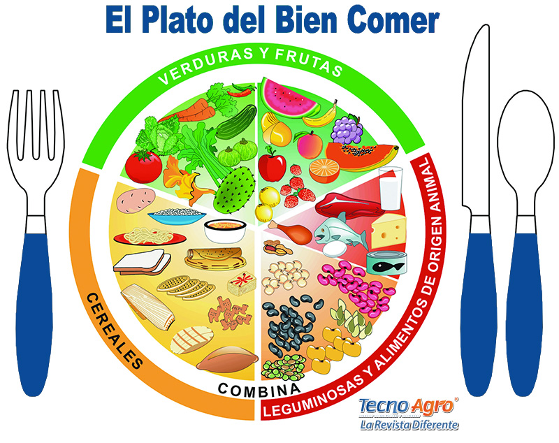 El Plato Del Bien Comer Salud Y Sabor Agro Revista Industrial Porn Sex Picture